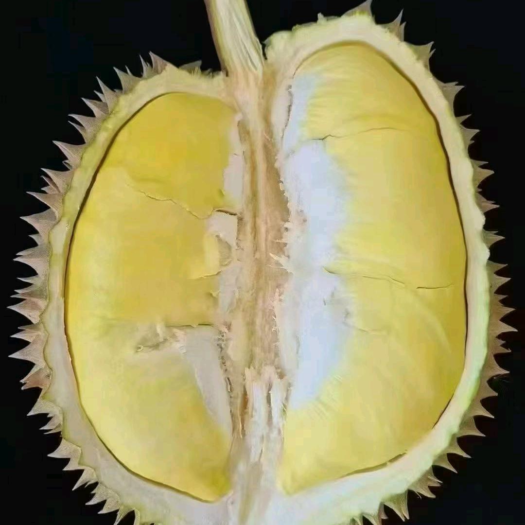 @@我命由我不由天😇
