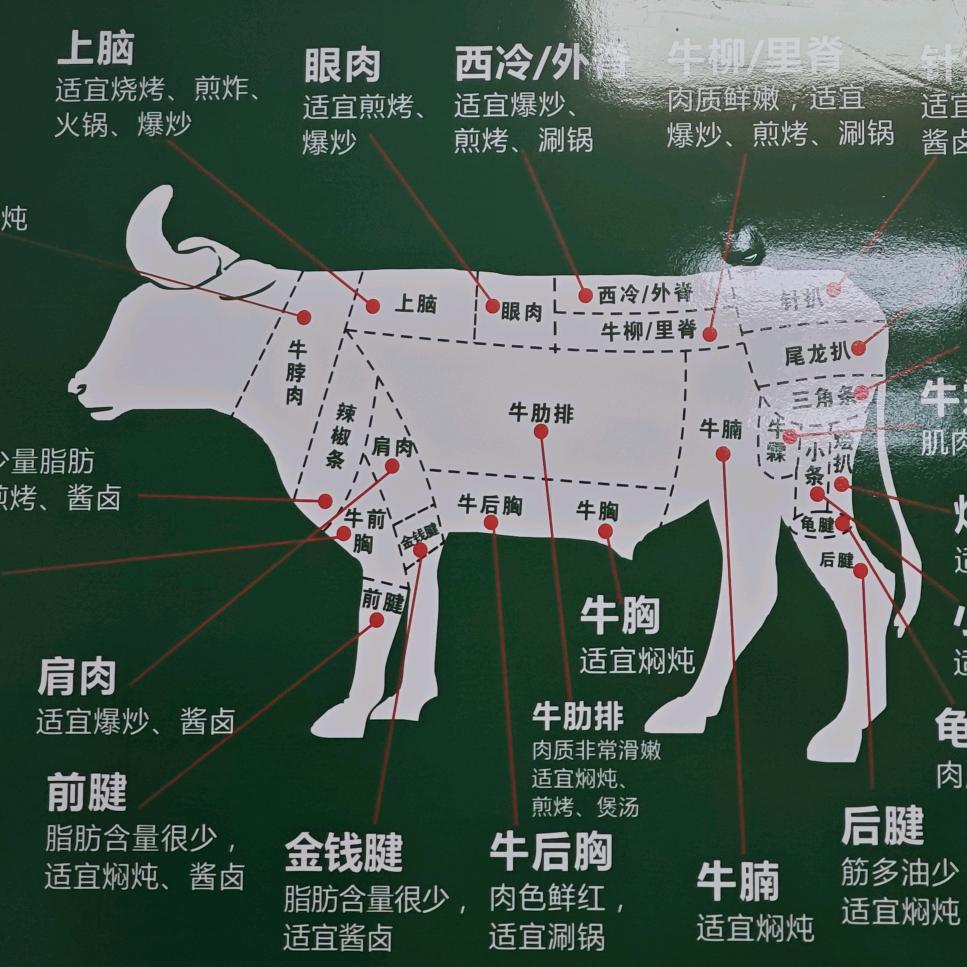 郑州物流港瞳牛贸易