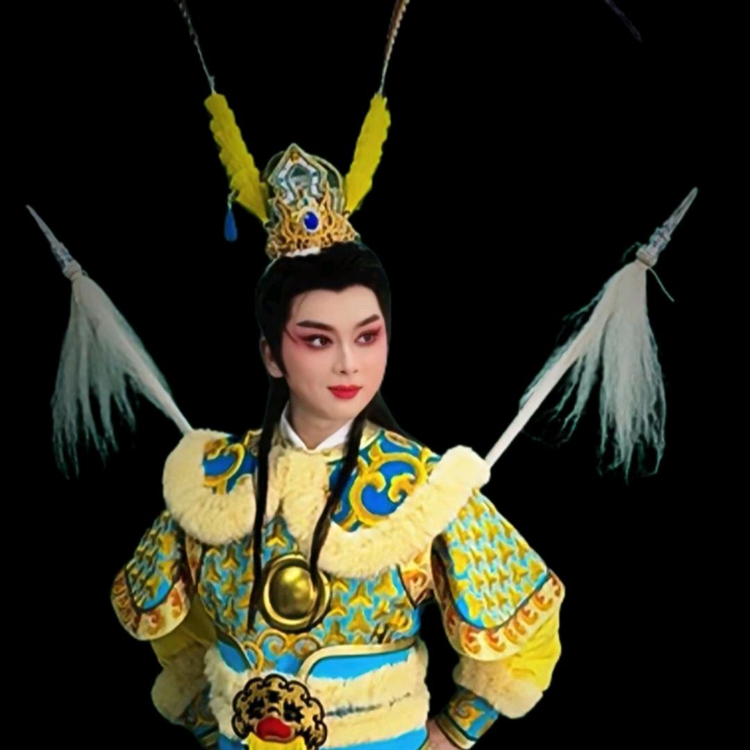 皇甫少华(勿连赞)