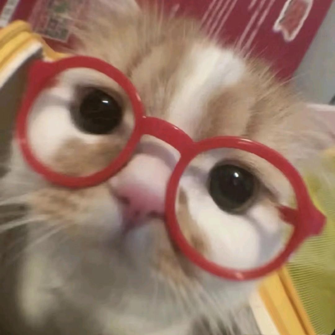 太阳好刺眼睛