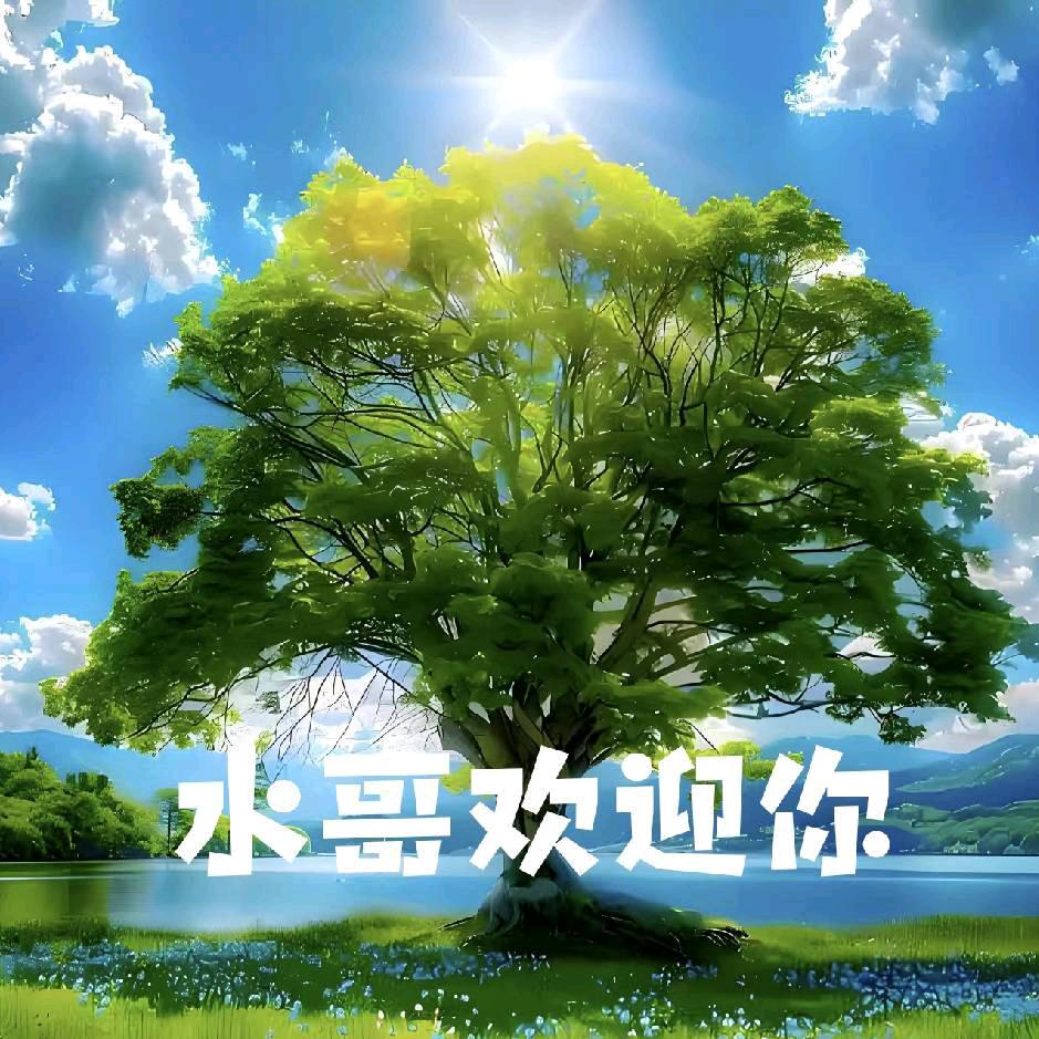 水哥苗木hys666
