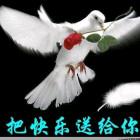用心良苦