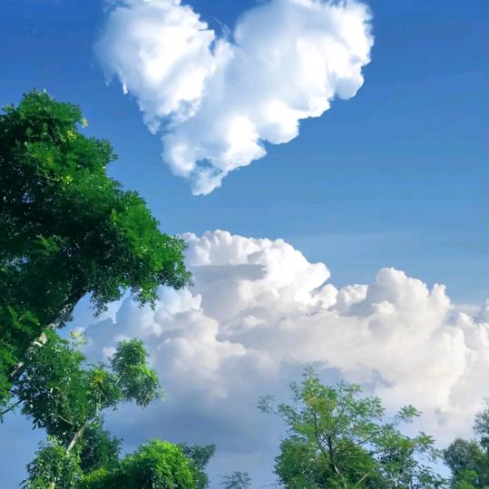 白！云！醉！