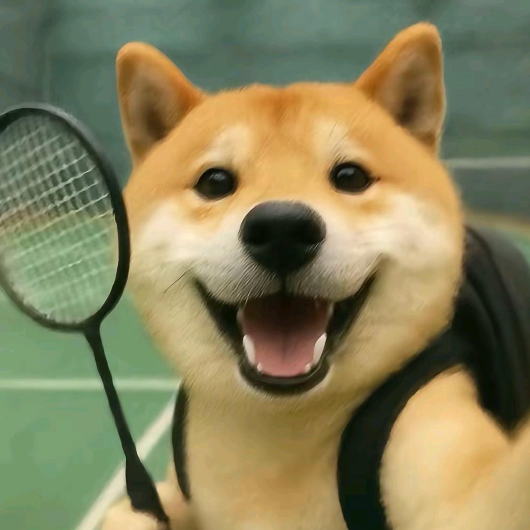 yy