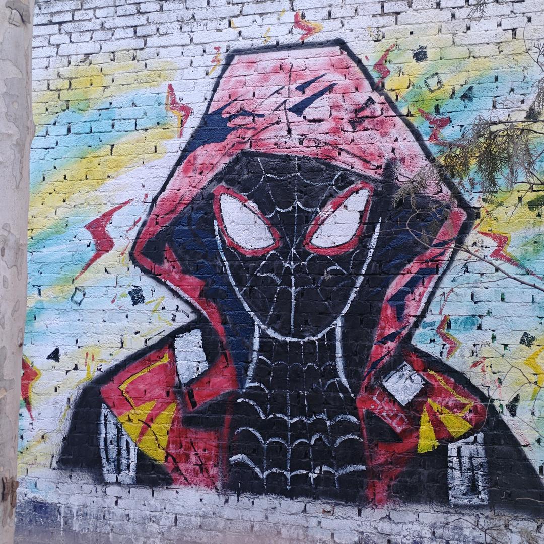 河北美院薛之谦