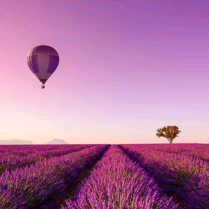 李