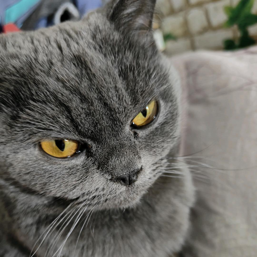 (っ◞‸◟c)人生坎坷啊