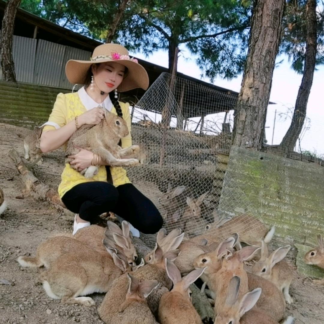 奔跑的兔子农品坊