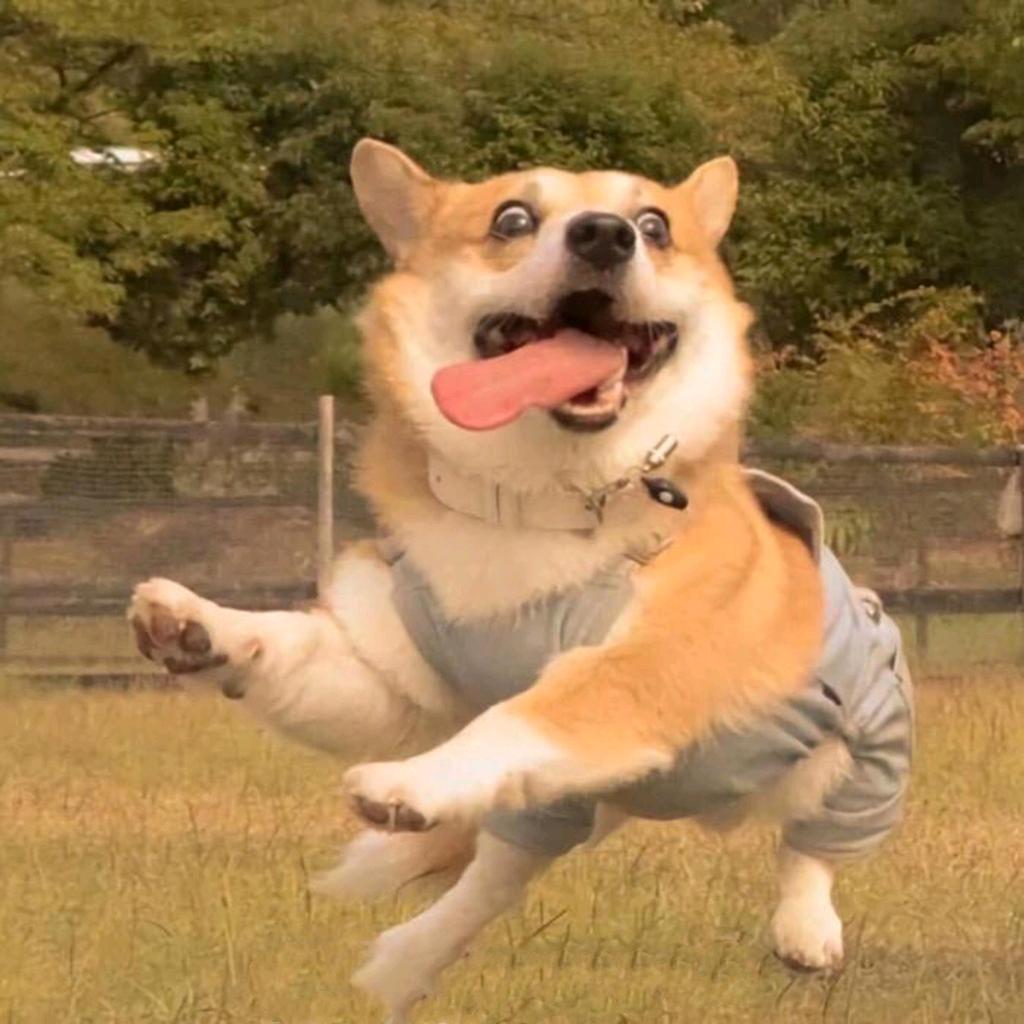 黄砼志