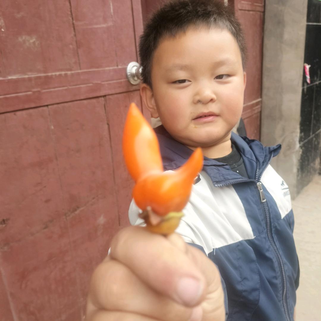 用户7040304396317