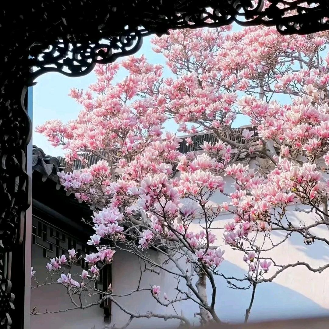 @dyeq4bd285nh