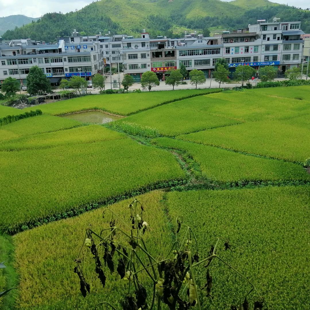 @千人追不如一人疼