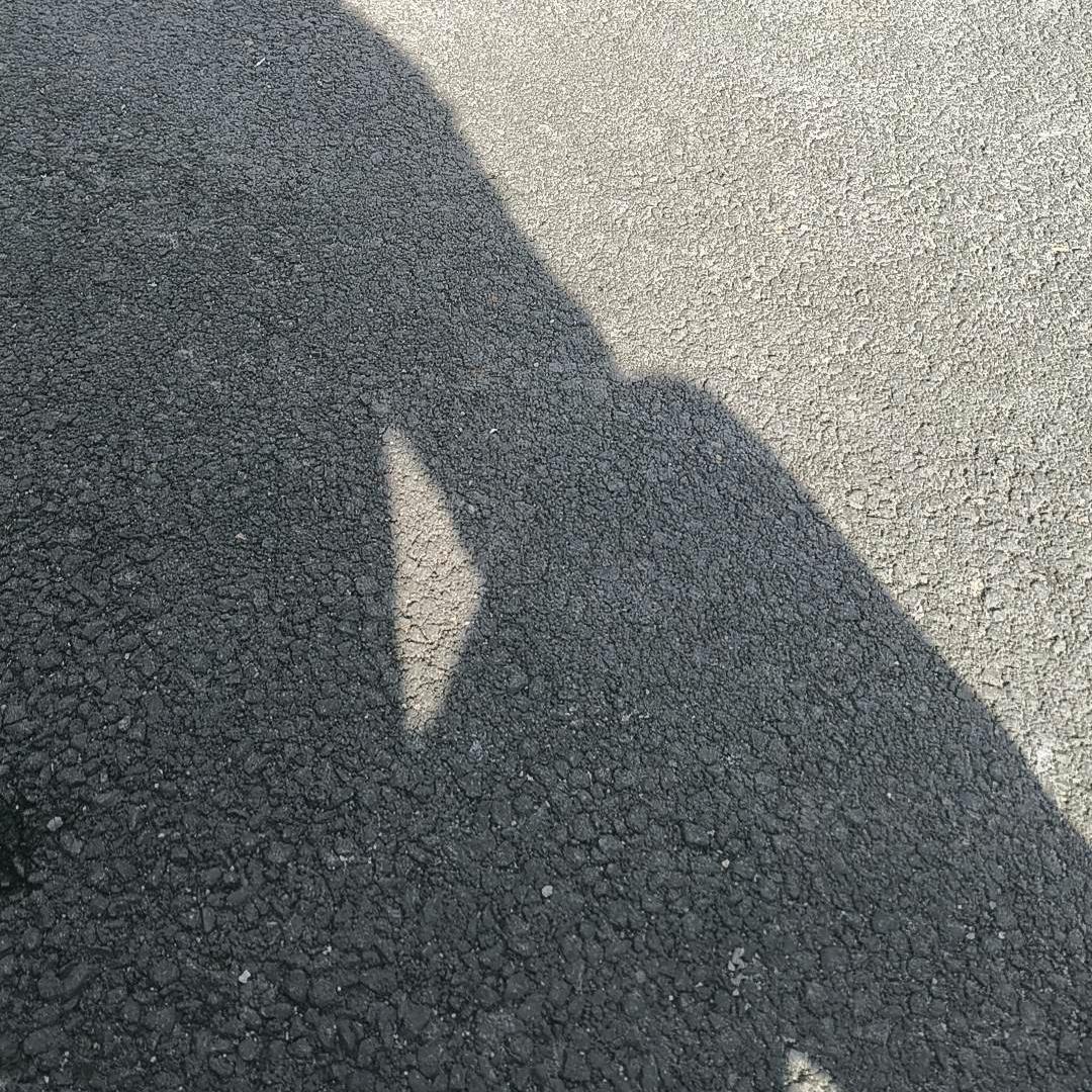 📢你小子考了:💯