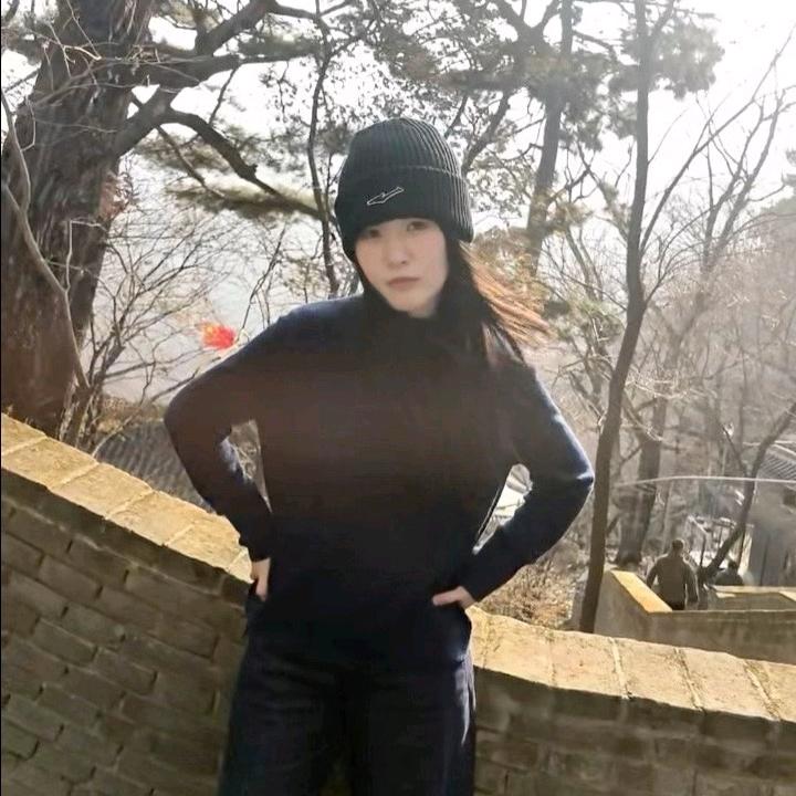 零碎岛屿·🦈