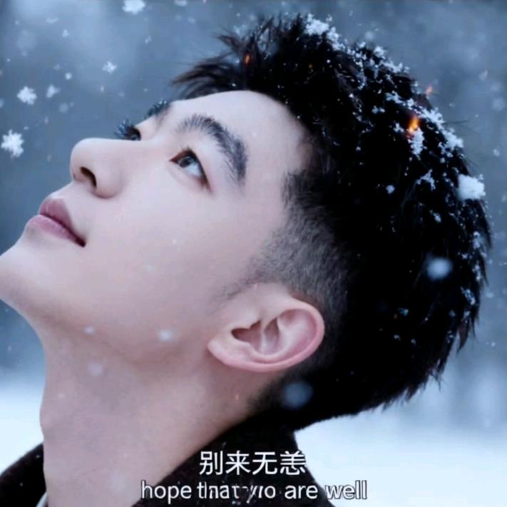 好名字都让狗起了