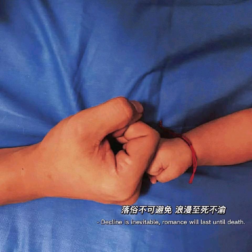 吢丕（努力版）🦜