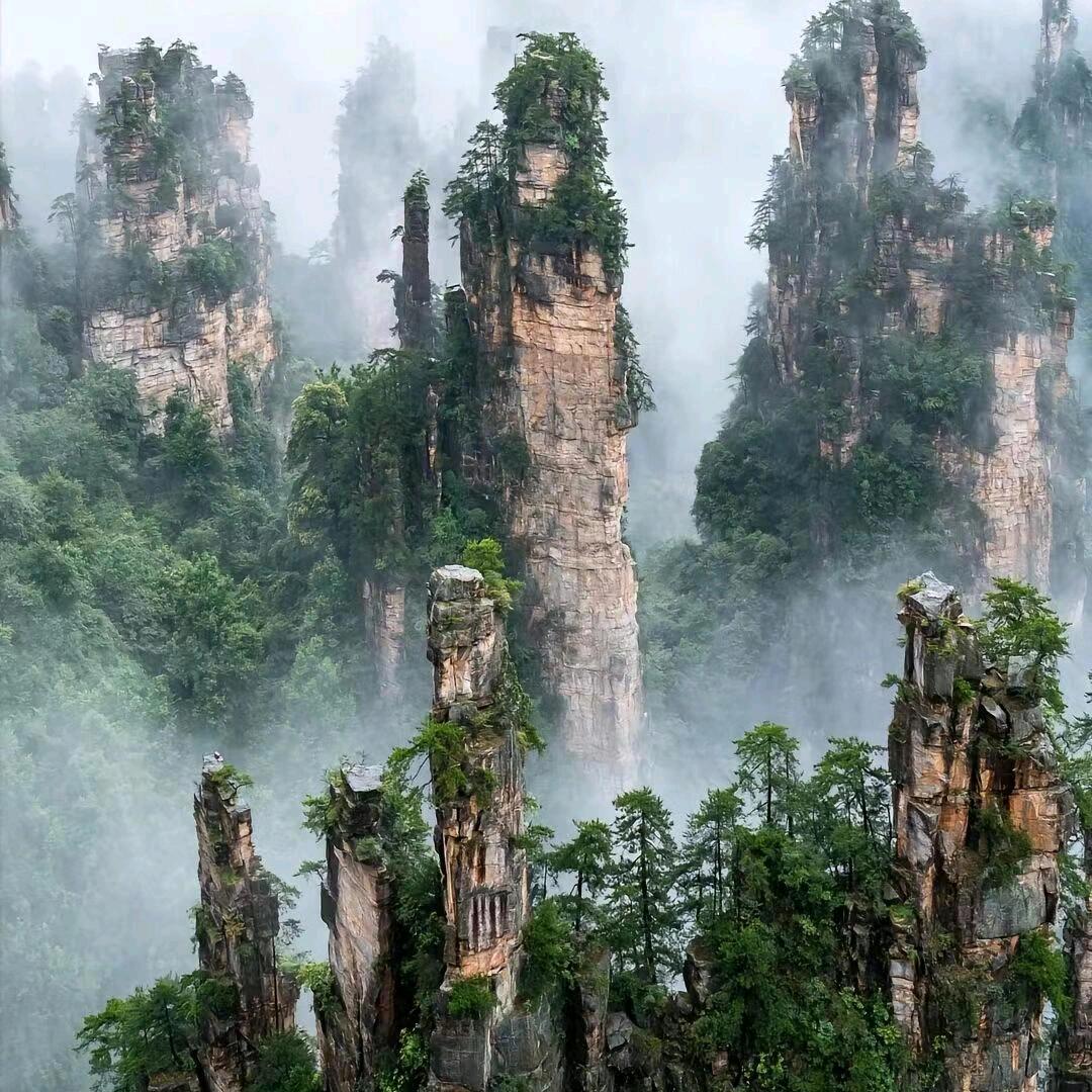 神游旅行