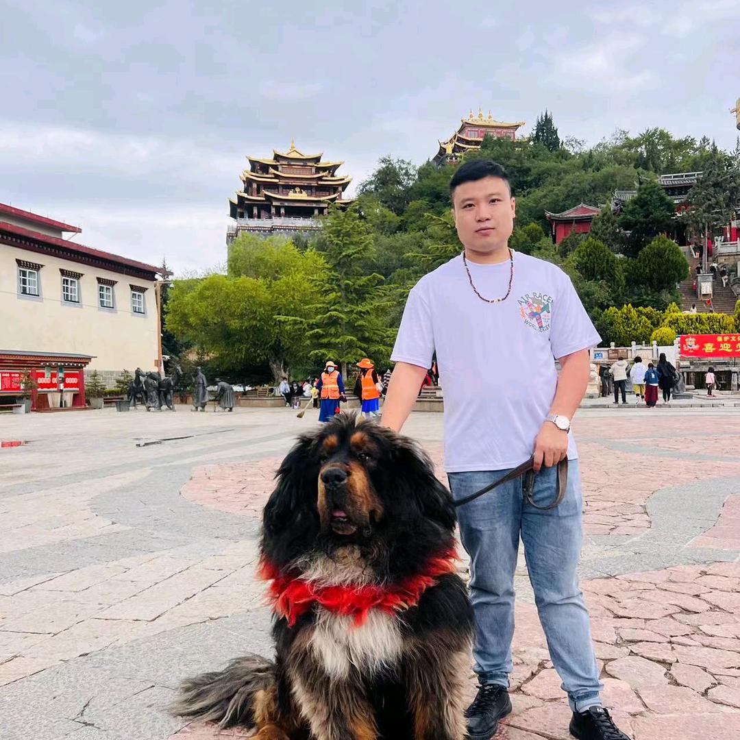 抖音自由人