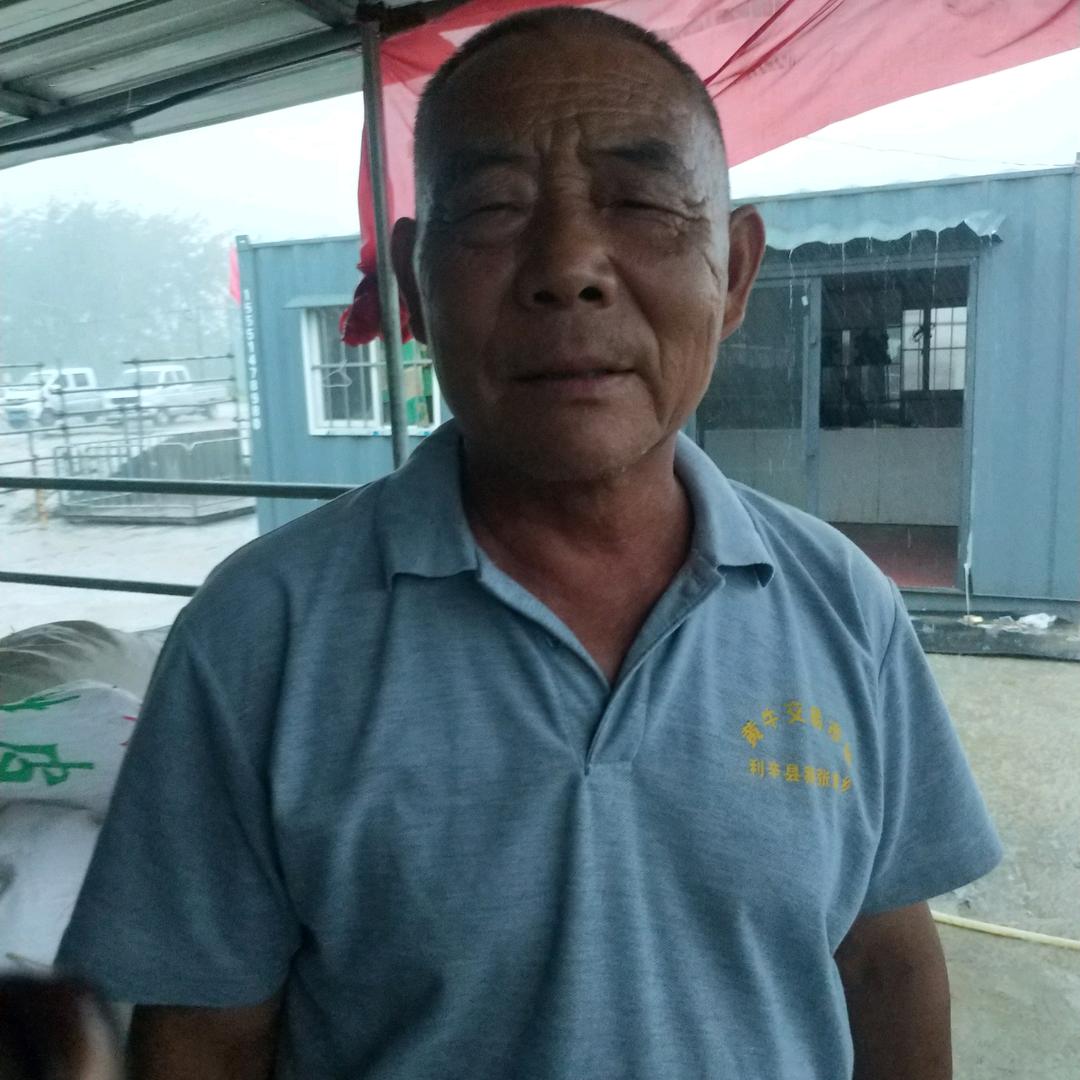 老黑利辛县新张集乡皖北黄牛交易市场