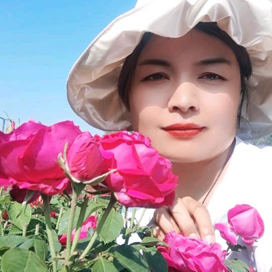 🌹依然是我