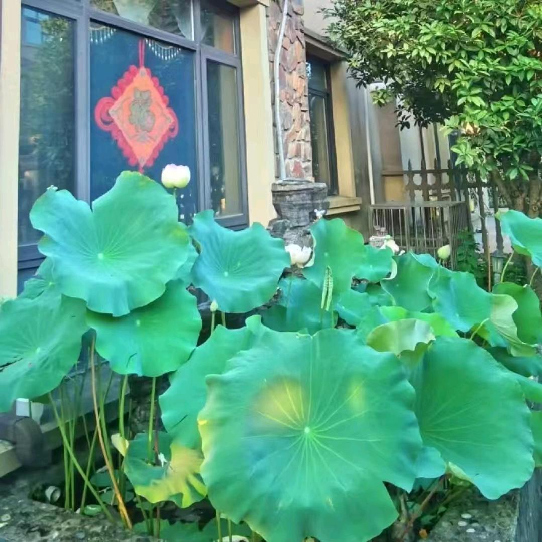 幸福一家!
