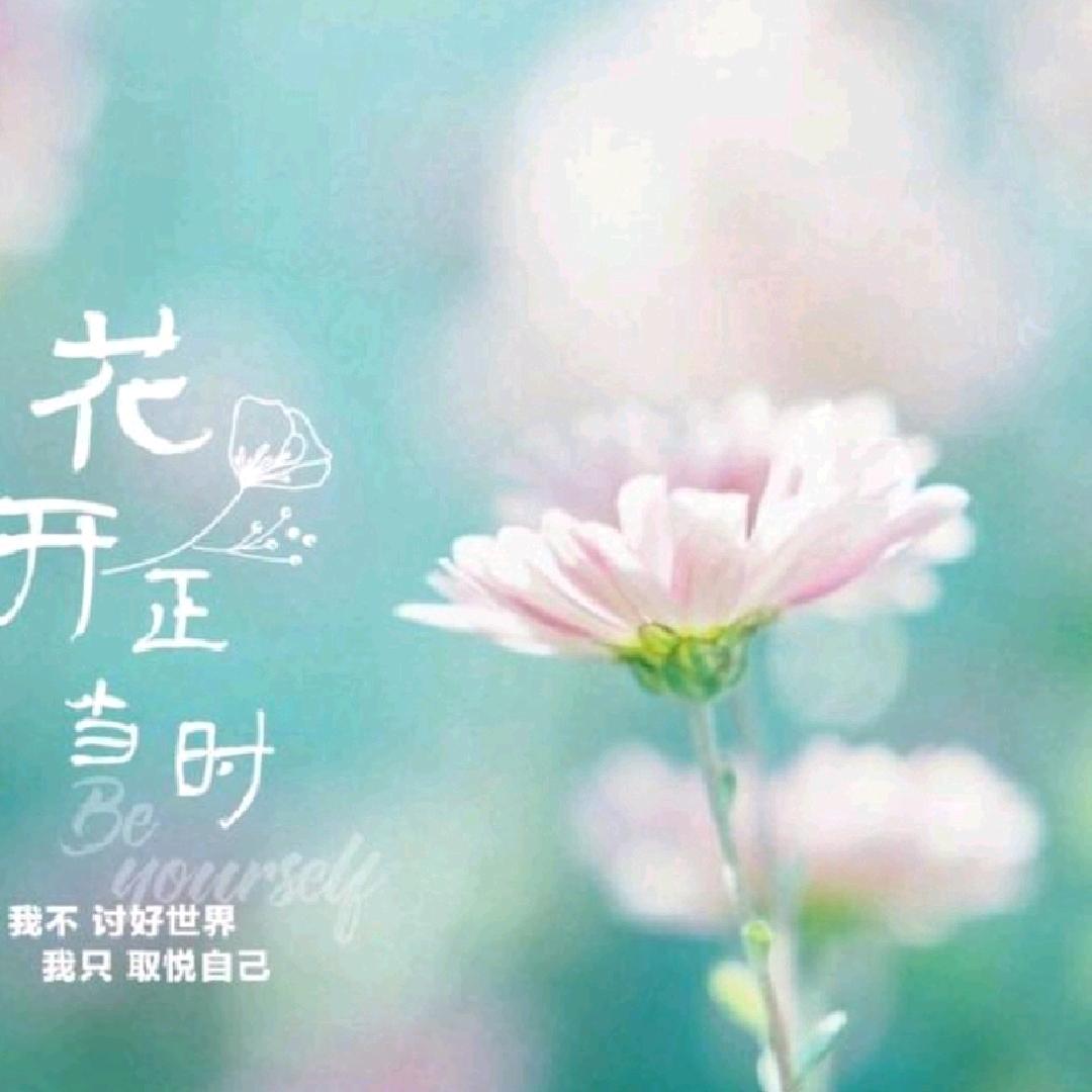 过去不挽留，余生不将就