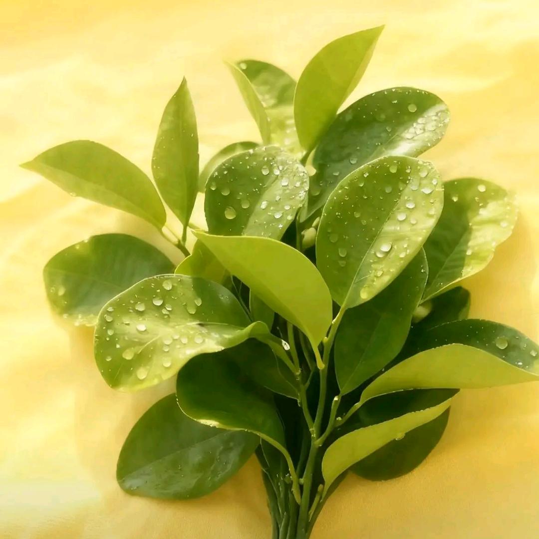 💞๓᭄幸福♡ꦿ᭄💖