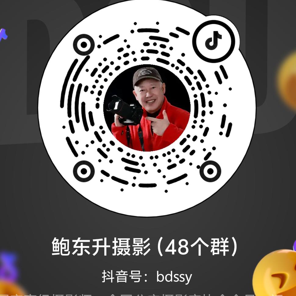 鲍东升摄影（48个群）