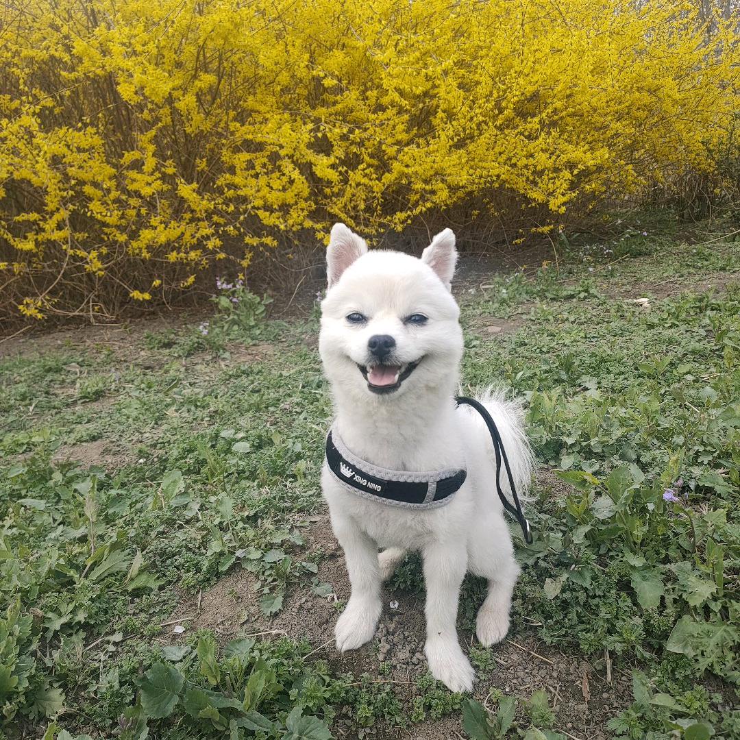 刘水清