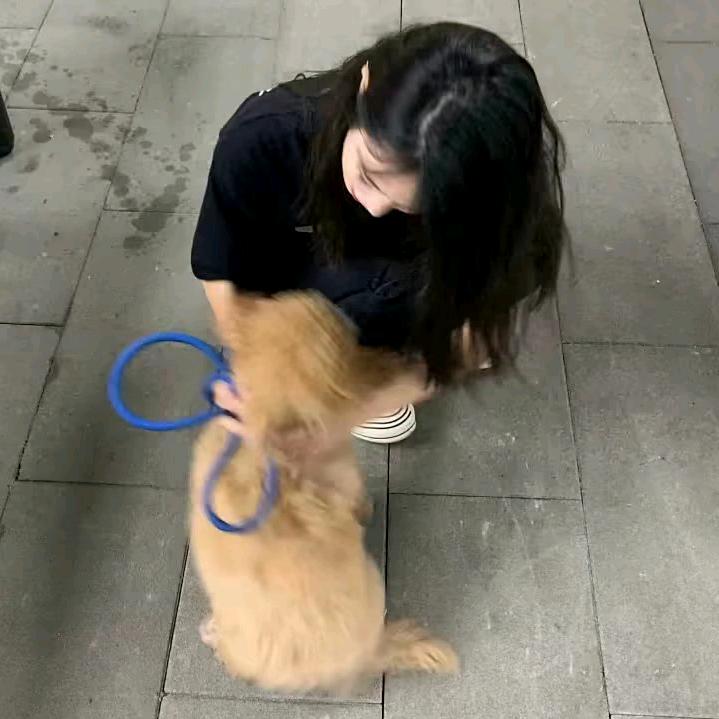 哈哈哈。。