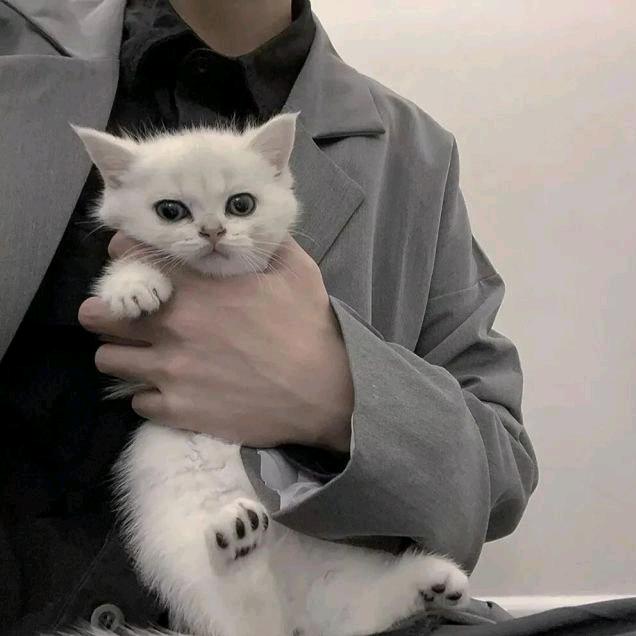 洒脱与自由