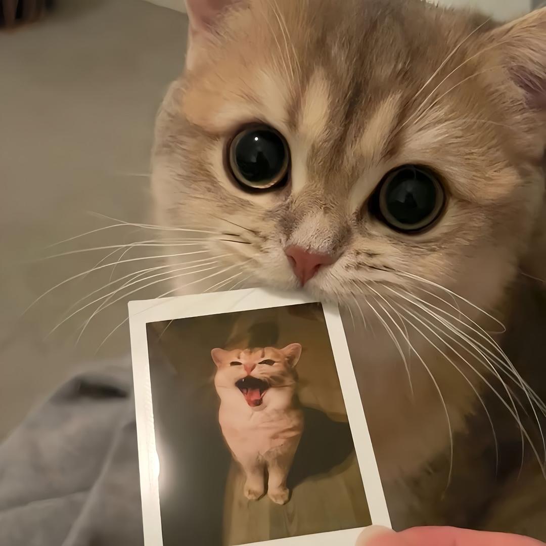 乐虎（三角洲跑刀）