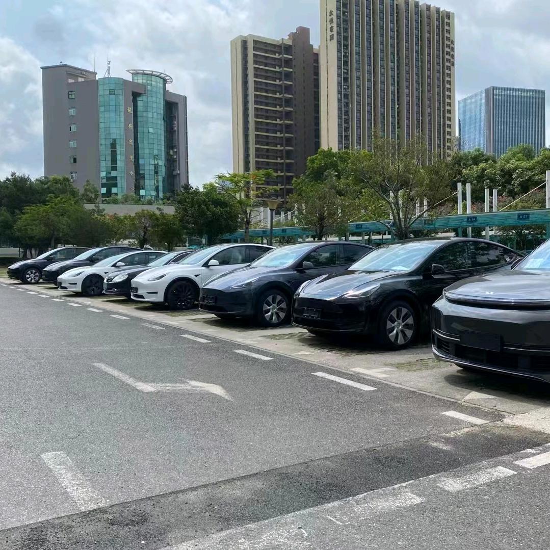 AAA杨阳车辆运输