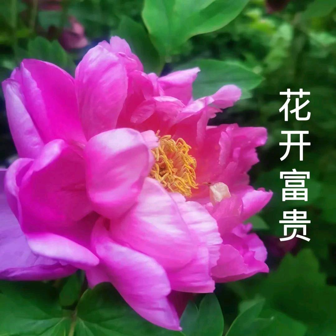 幸福一生