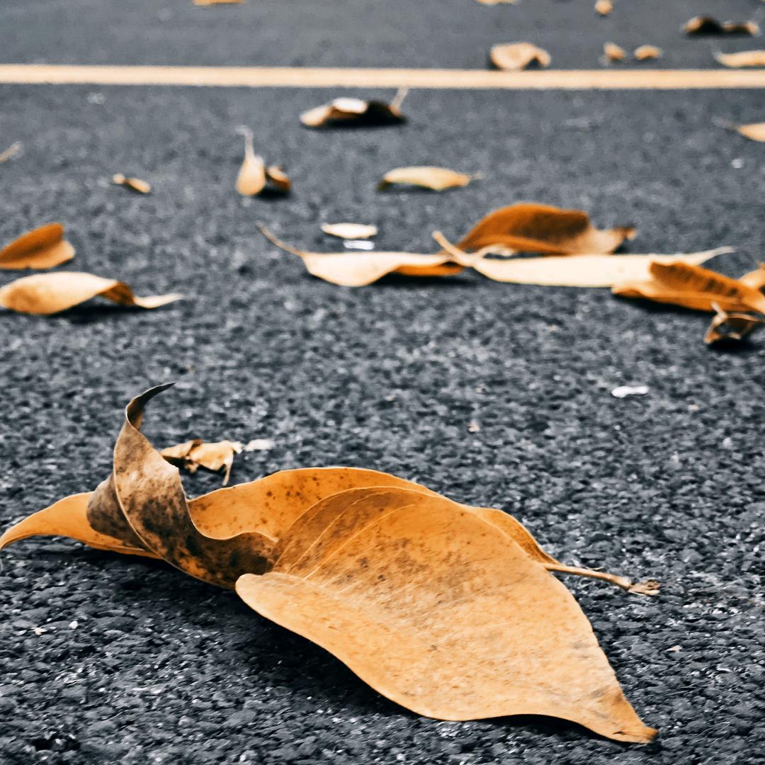 治愈日记📸  　　　     ╲