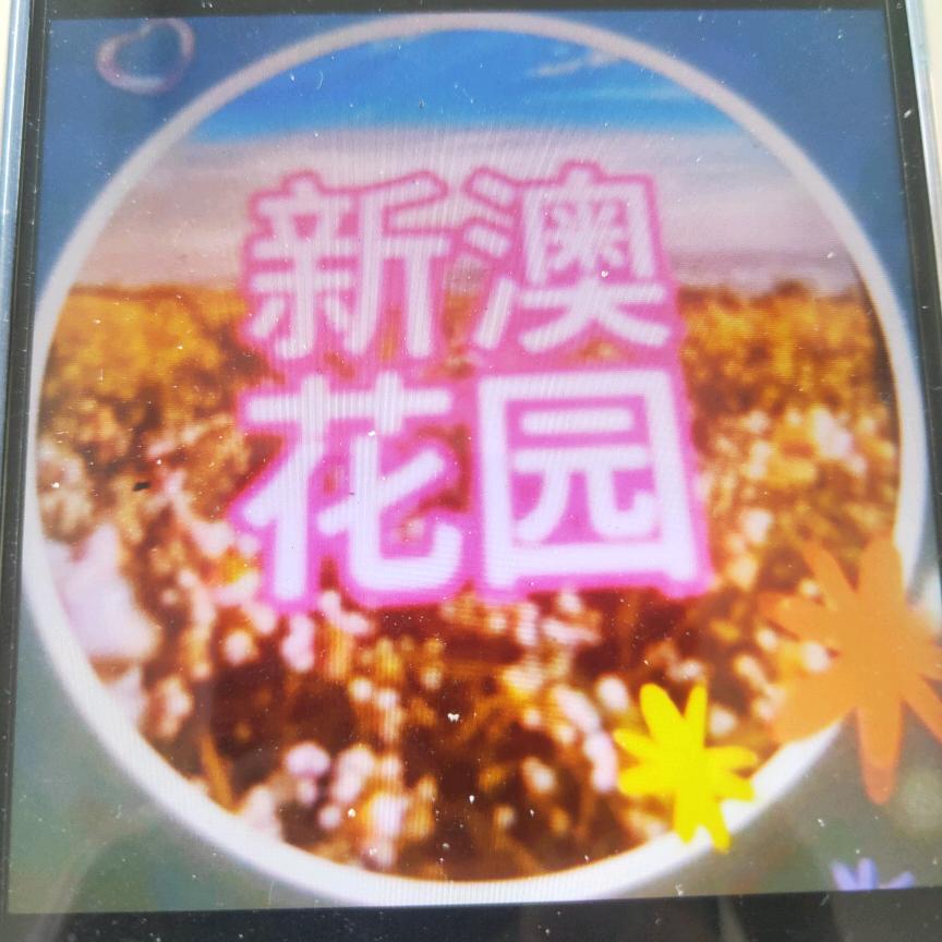 陕西炜哒鲲网络科技有限公司