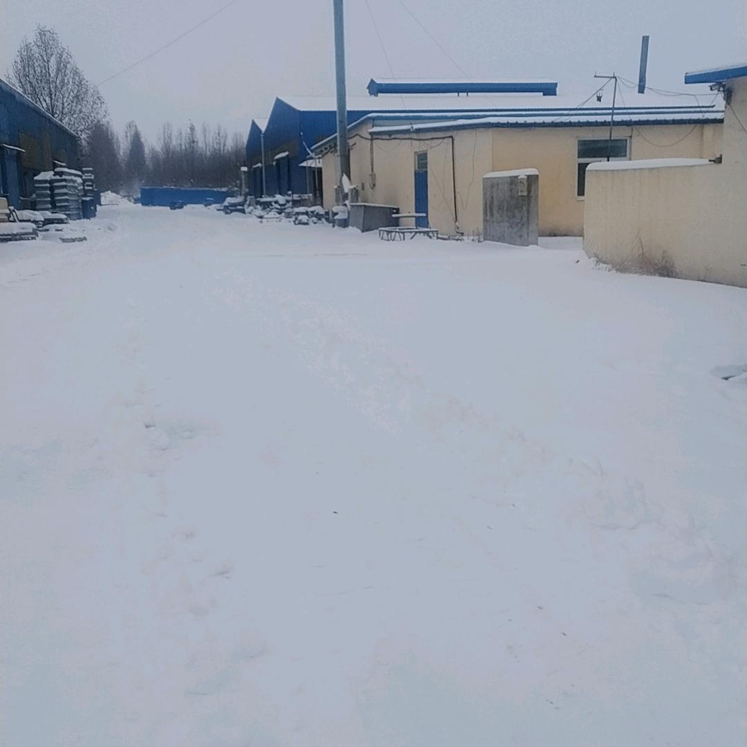 1🌹3🌺1🌷4只爱一人🌼