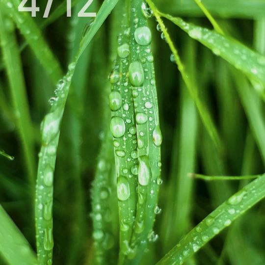 空有相思霜似雪，奈何真心空对月