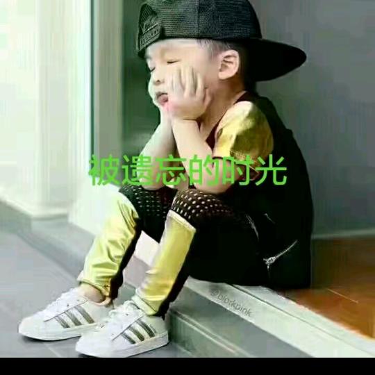 静以修身