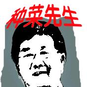 种菜先生