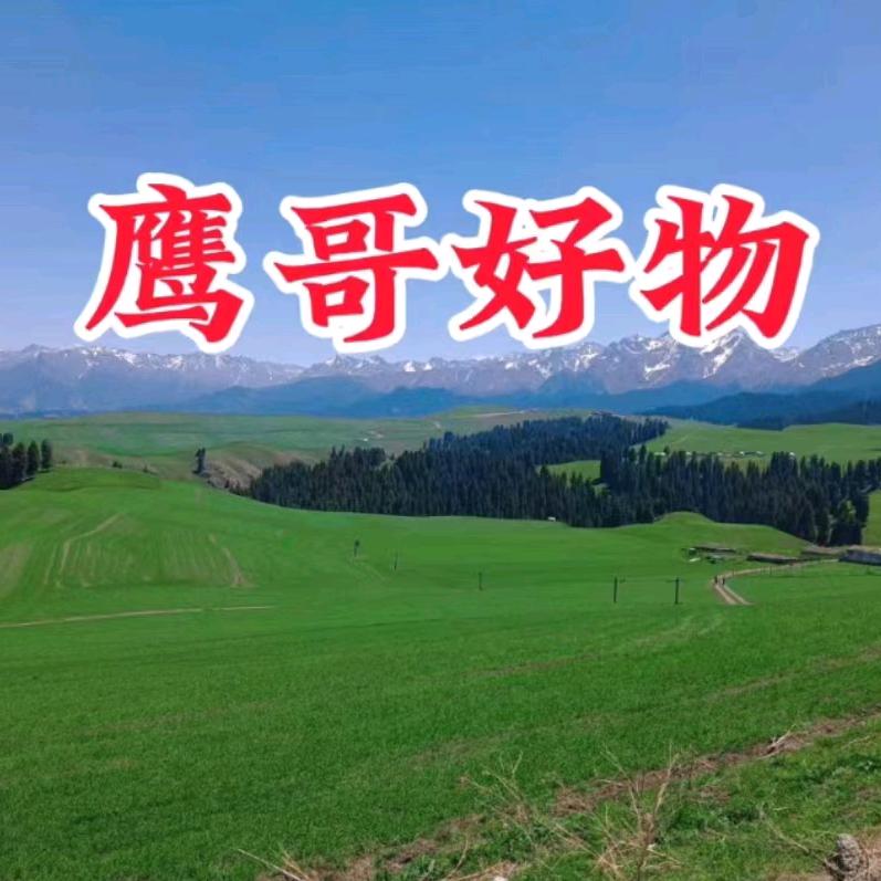 鹰哥好物