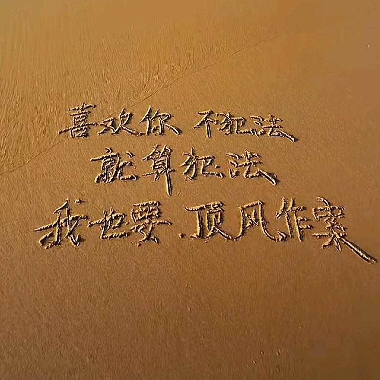 一路向阳🌞
