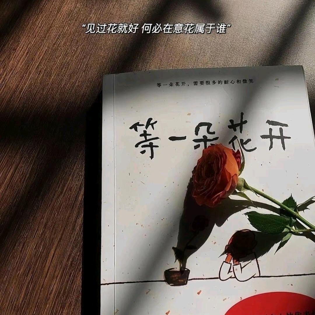 丫头，💗小可爱