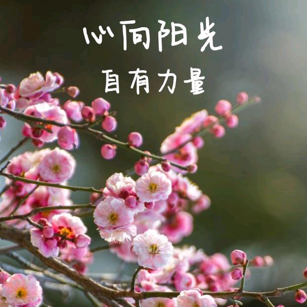 心有阳光
