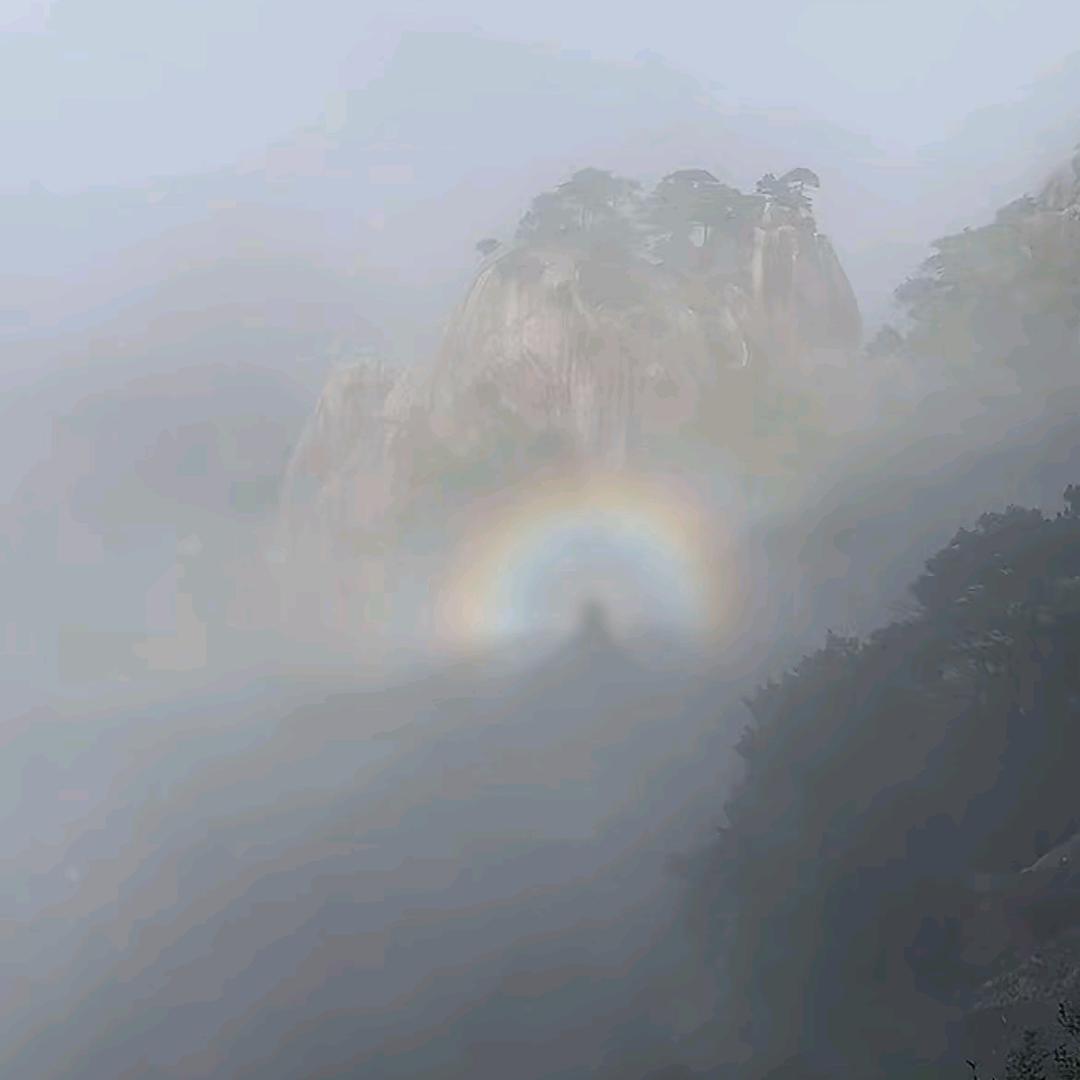 🌟昨夜共星辰🌟