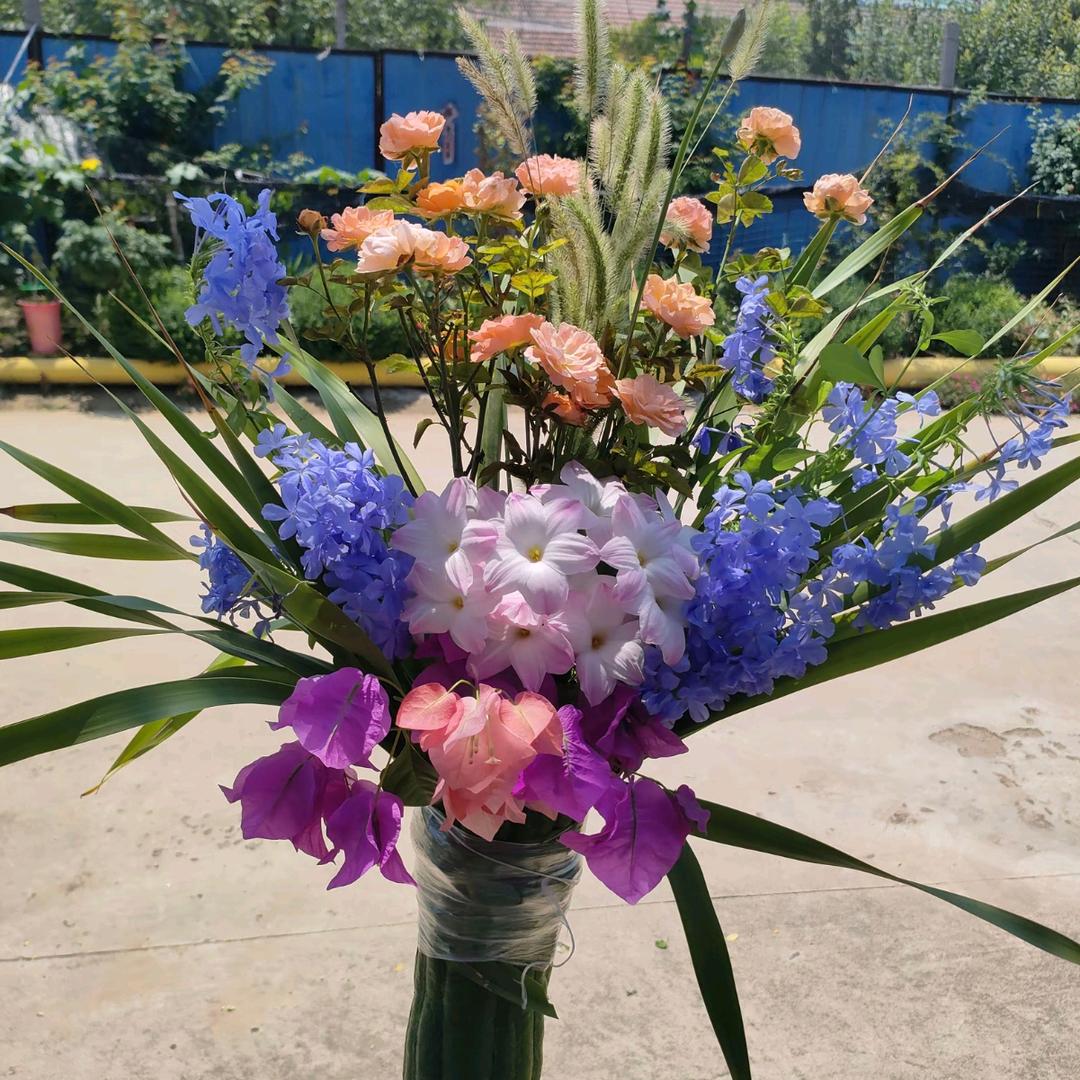 清楚橼花卉创意屋