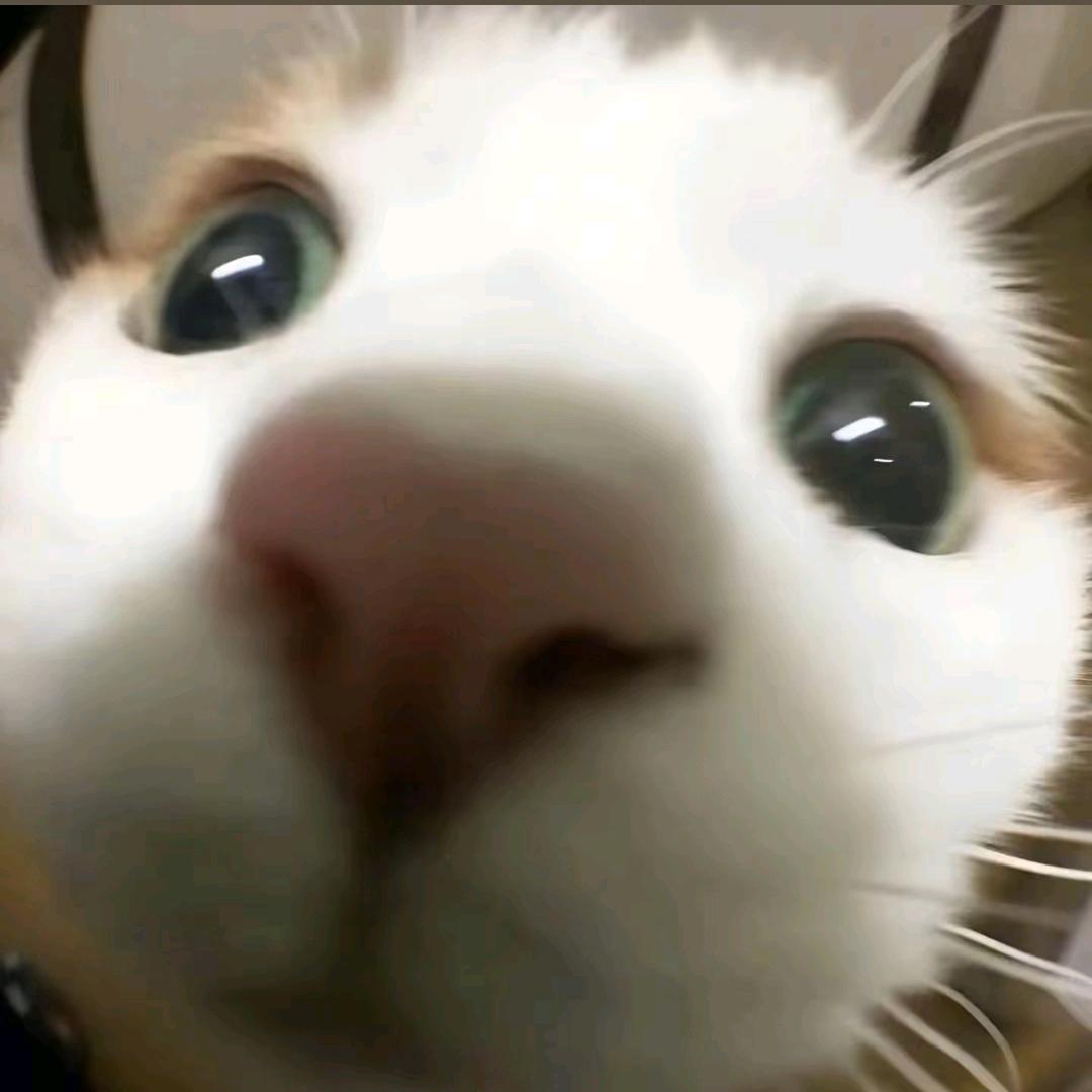 吗喽大王