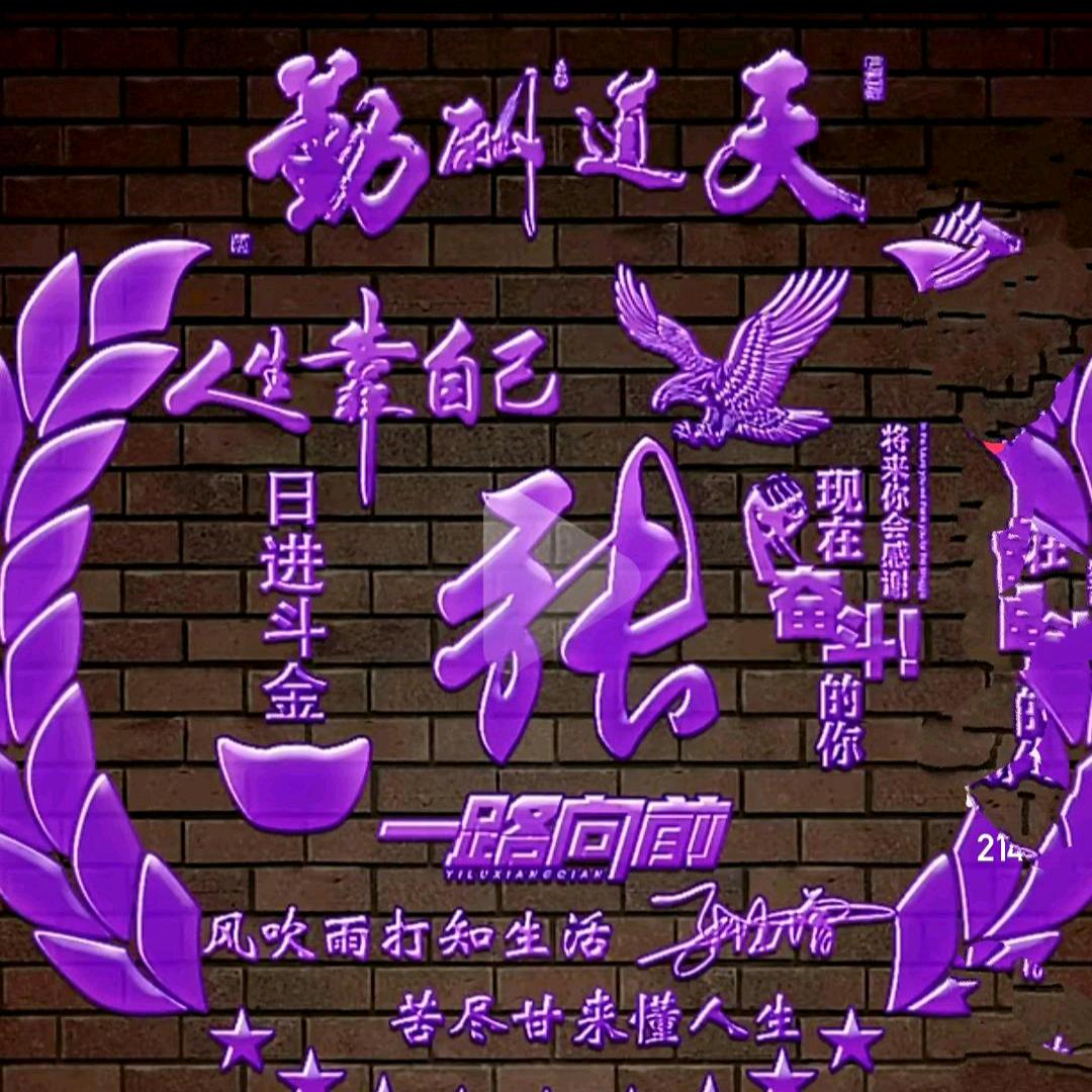 姐姐不坚强何以立足