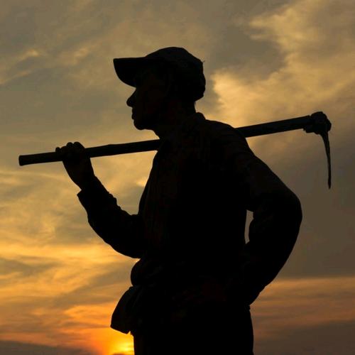 范先生（哥斯拉）营销