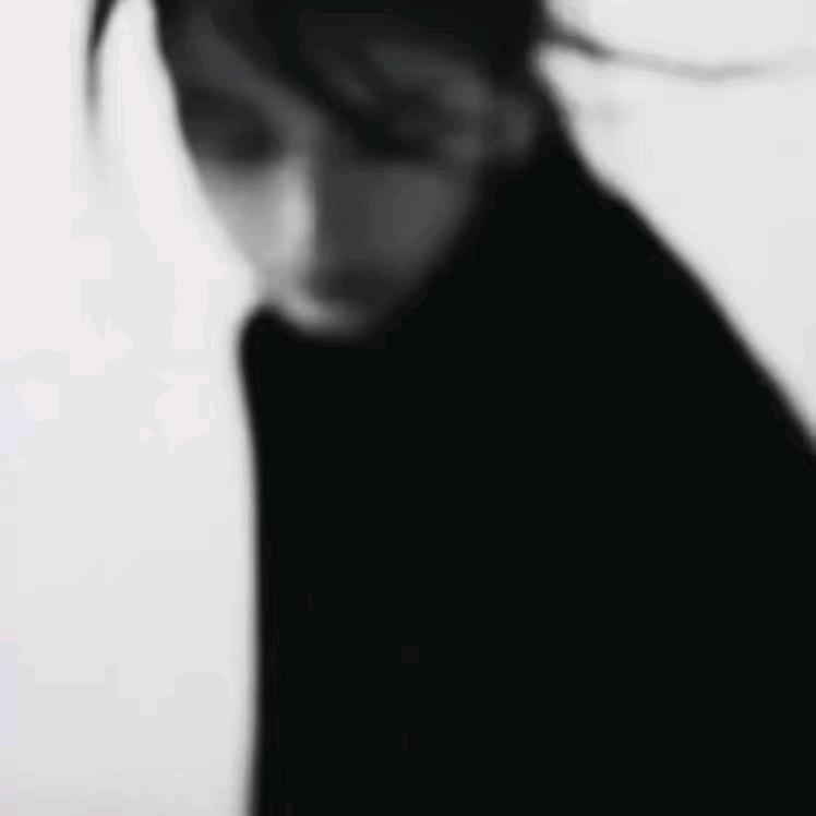 板蓝根.